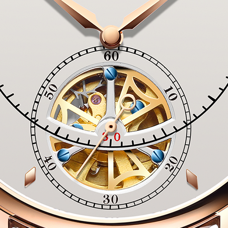 Automatic Mechanical Watch Swi - Luxury Watch German review and price